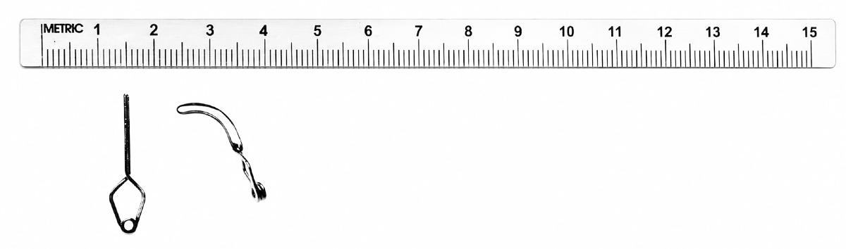 Yaşargil aneurysm clips photographed against a metric ruler